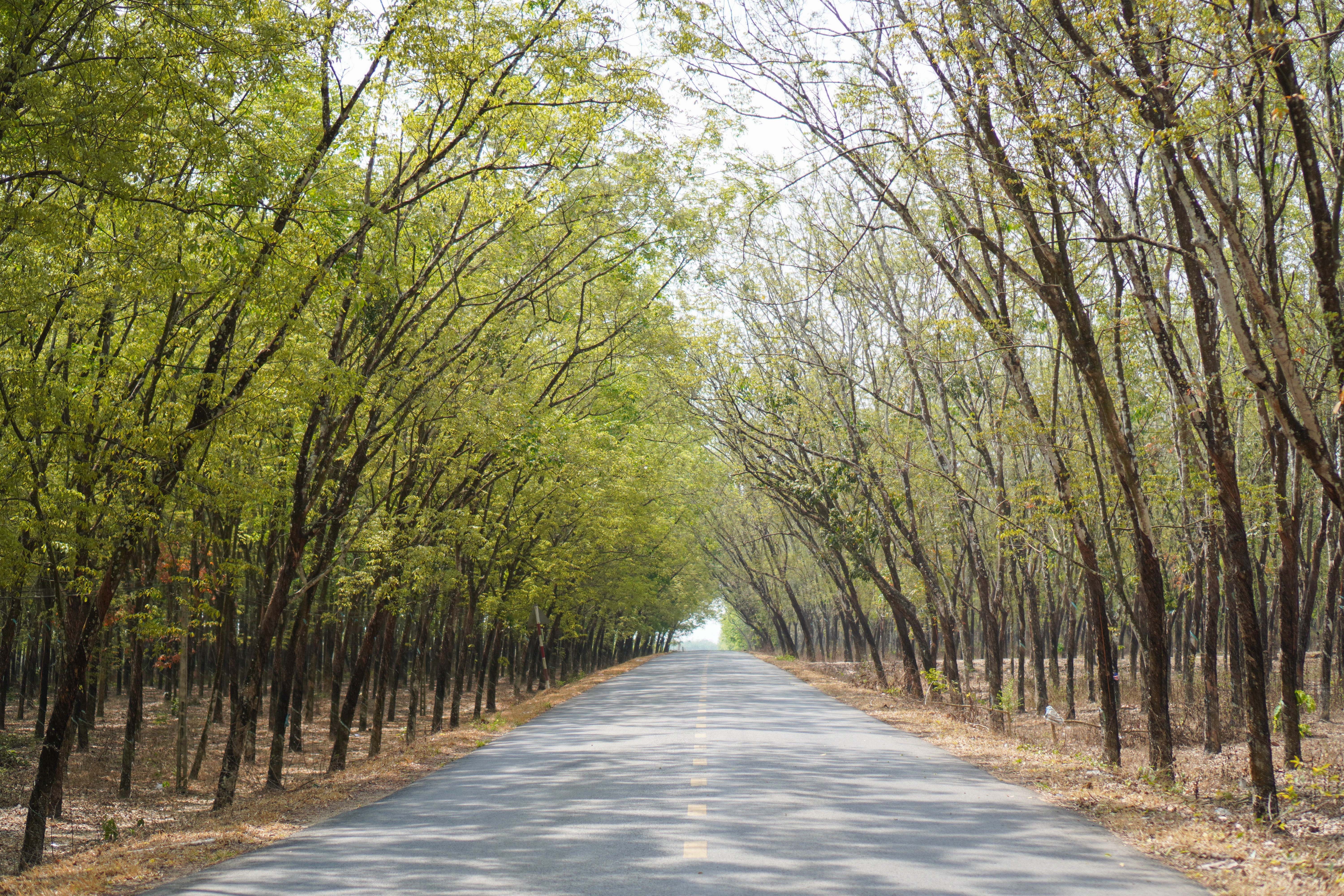 hồ dầu tiếng tây ninh ảnh 2 ho dau tieng tay ninh anh 2