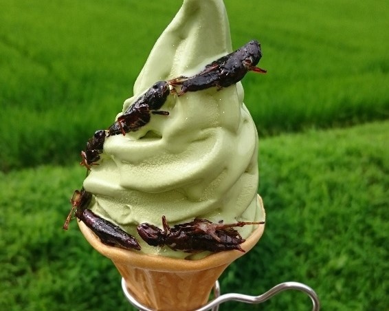 Kem chau chau va nhung vi kem chi co o Nhat Ban hinh anh