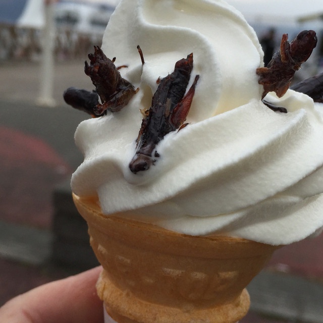 vị kem lạ ở Nhật ảnh 6 vi kem la o Nhat anh 6