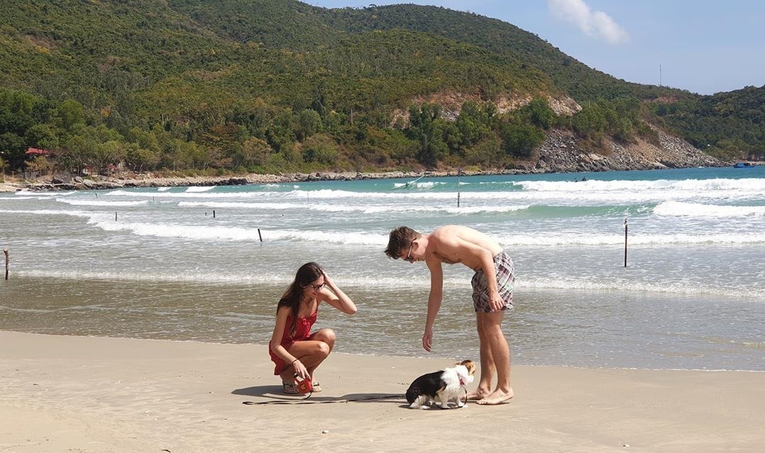 bai bien hoang so khanh hoa anh 2