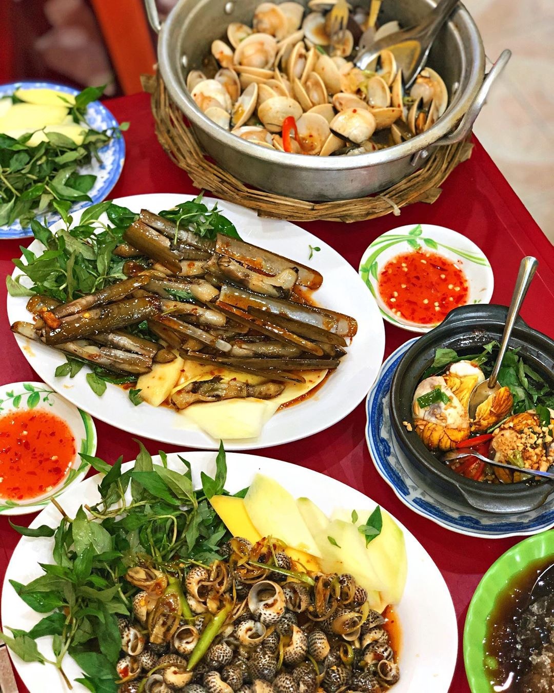 địa chỉ bán ốc quy nhơn ảnh 4 dia chi ban oc quy nhon anh 4