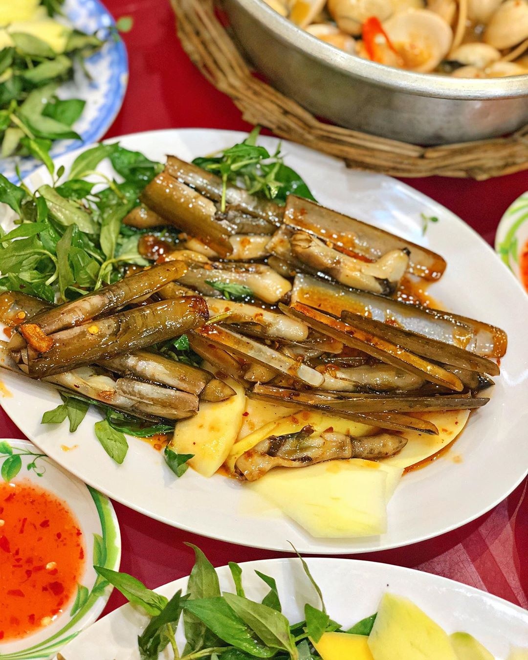 địa chỉ bán ốc quy nhơn ảnh 5 dia chi ban oc quy nhon anh 5