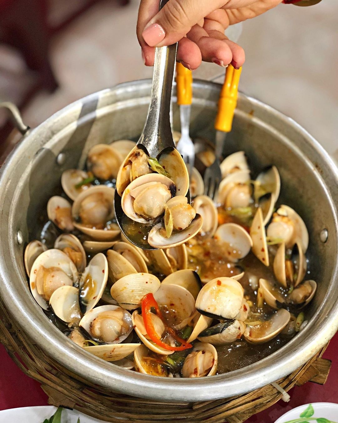 địa chỉ bán ốc quy nhơn ảnh 7 dia chi ban oc quy nhon anh 7