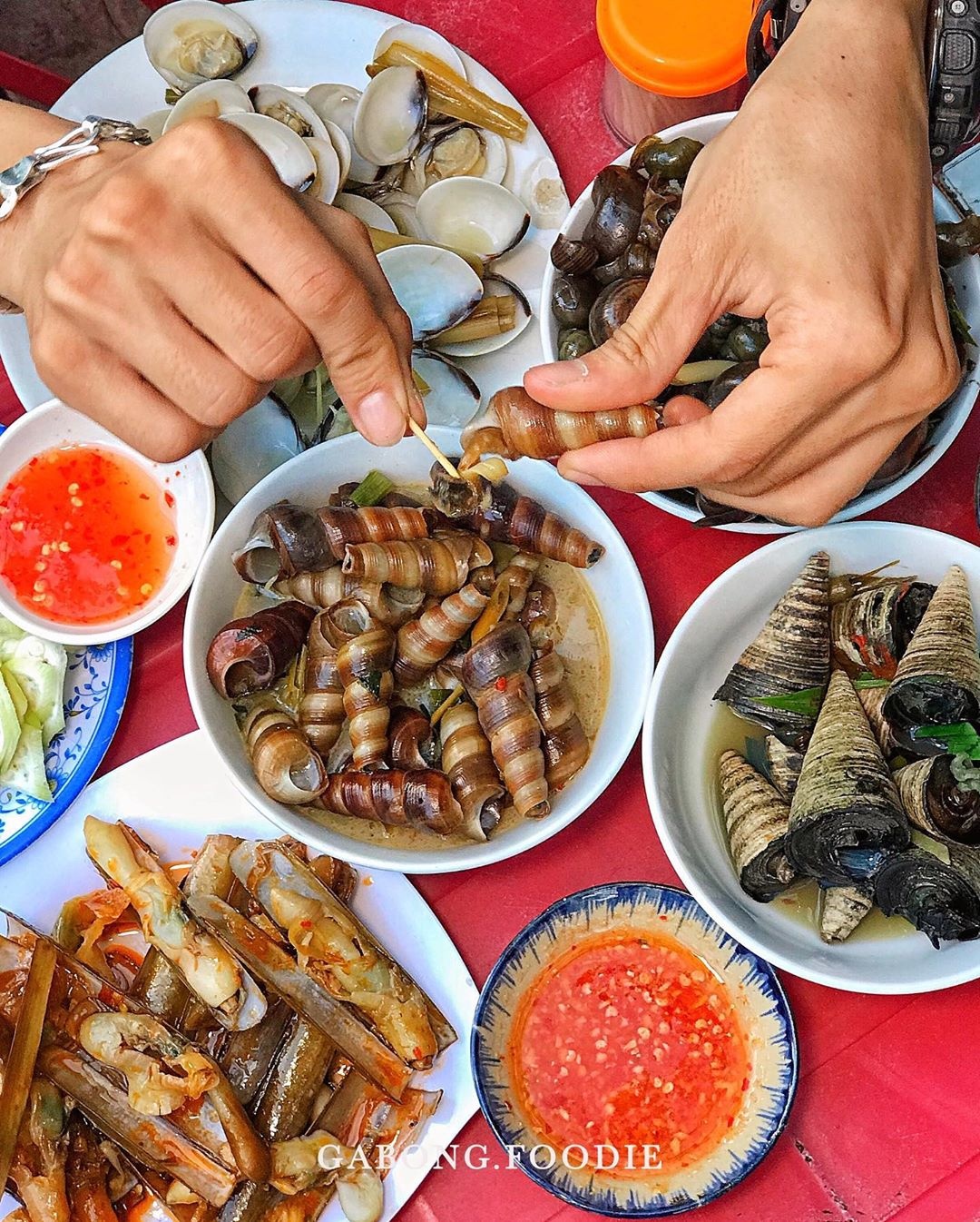 địa chỉ bán ốc quy nhơn ảnh 10 dia chi ban oc quy nhon anh 10