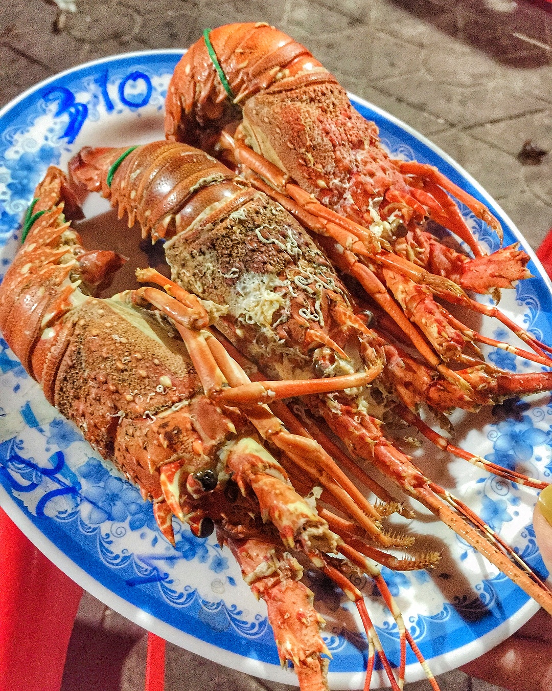 địa chỉ bán ốc quy nhơn ảnh 12 dia chi ban oc quy nhon anh 12