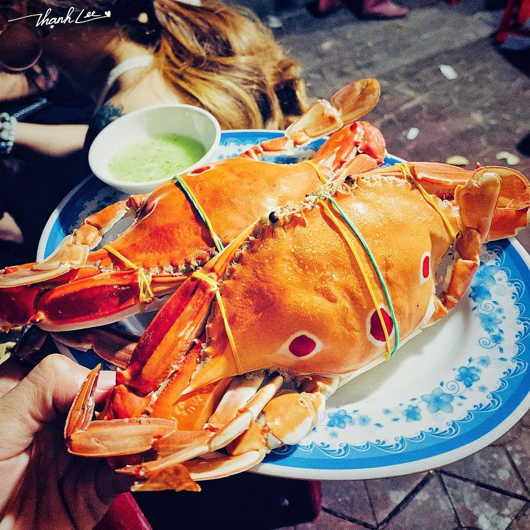 địa chỉ bán ốc quy nhơn ảnh 13 dia chi ban oc quy nhon anh 13