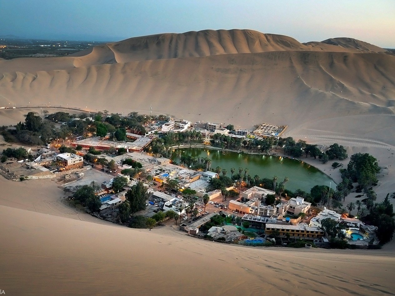 Thi tran xanh lot thom giua long sa mac o Peru hinh anh