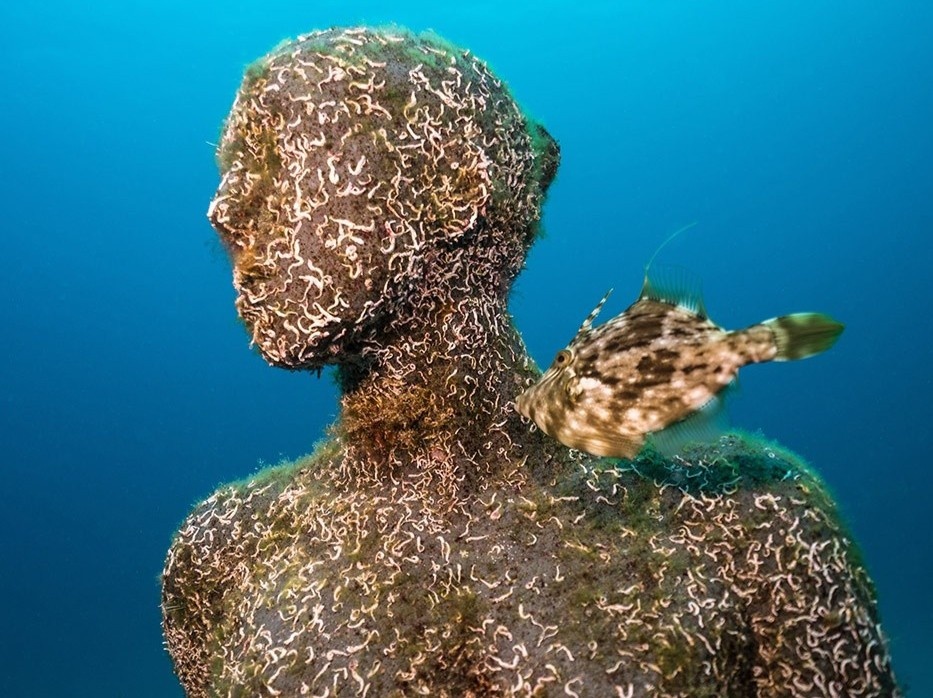 Tuong hinh nguoi bam rong reu chim duoi day bien Tay Ban Nha hinh anh