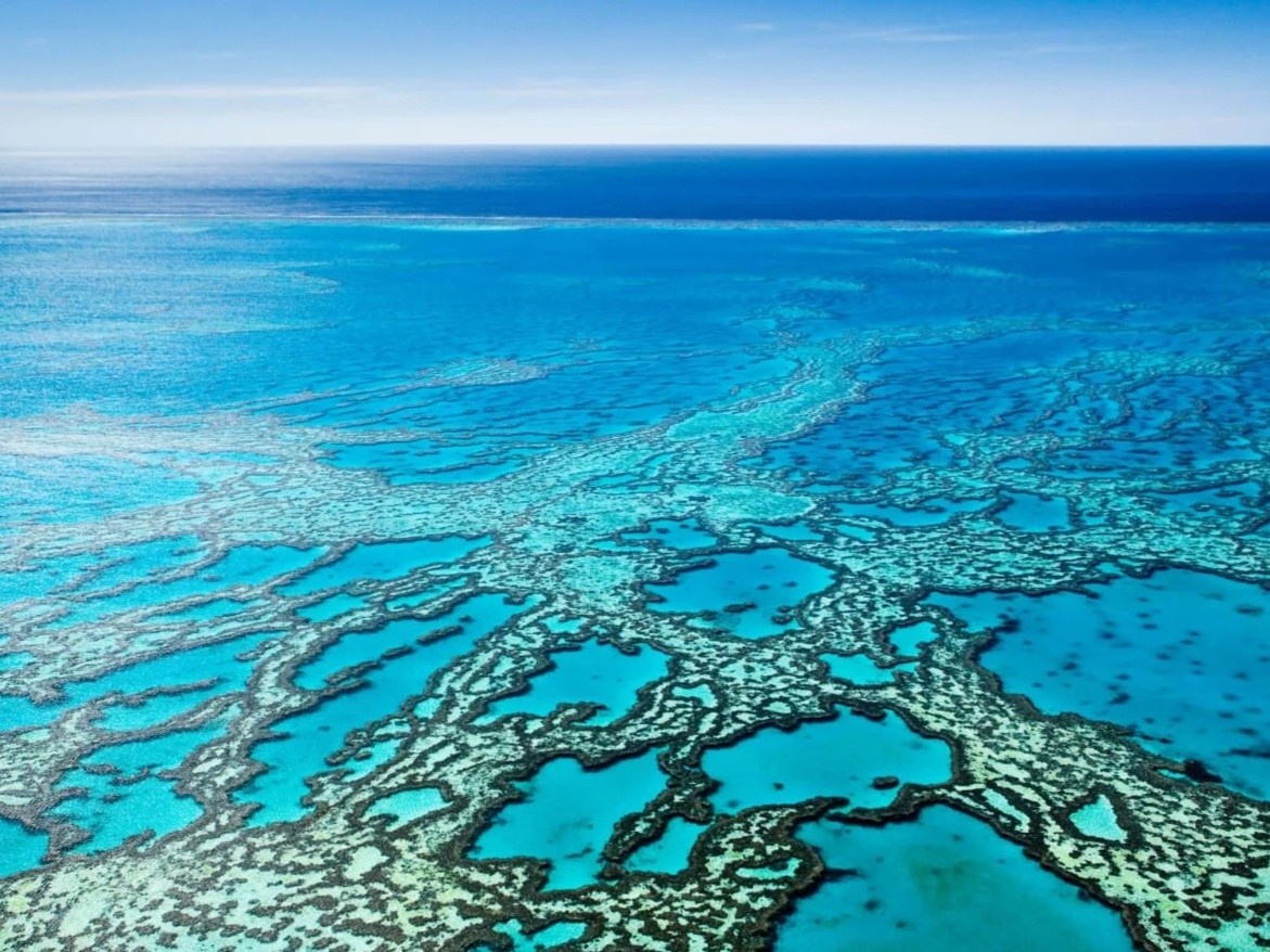 Ran san ho lon nhat hanh tinh duoc ghep tu 900 hon dao hinh anh