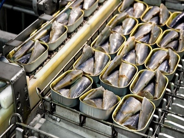 Quy trinh lam ca moi dong hop trong day chuyen tu dong hinh anh