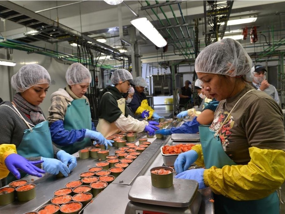 Thit dong hop khong chat bao quan duoc san xuat the nao? hinh anh