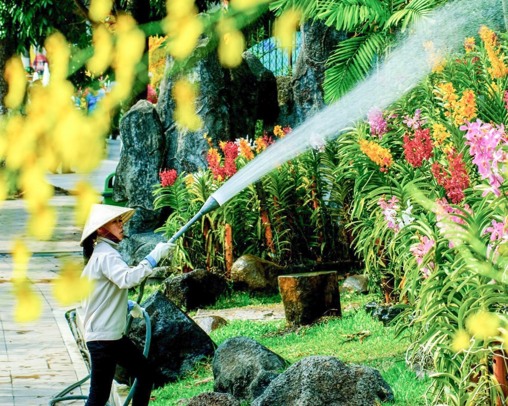 Dam Sen, Suoi Tien ngung don khach trong dich Covid-19 hinh anh