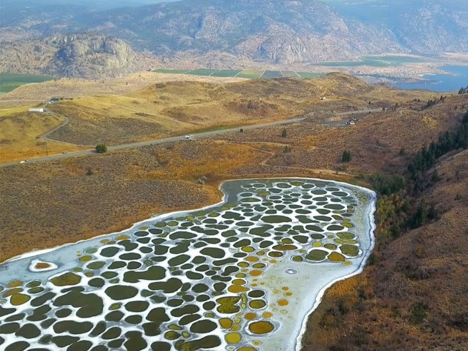 365 vong tron ky di an duoi long ho Cham Bi o Canada hinh anh