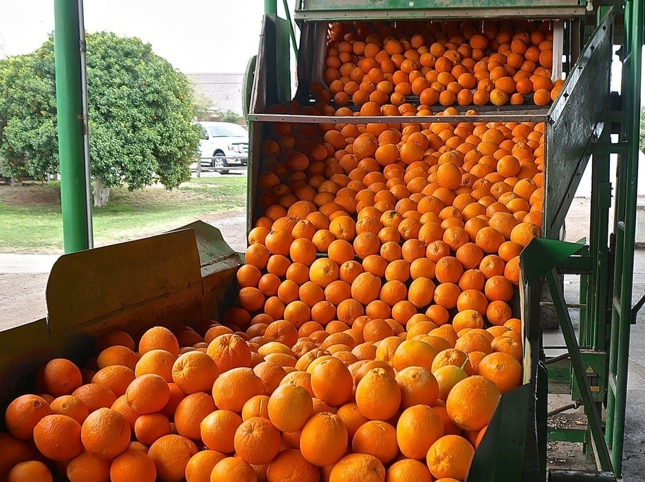 Nuoc ep cam nguyen chat duoc san xuat the nao trong nha may hinh anh