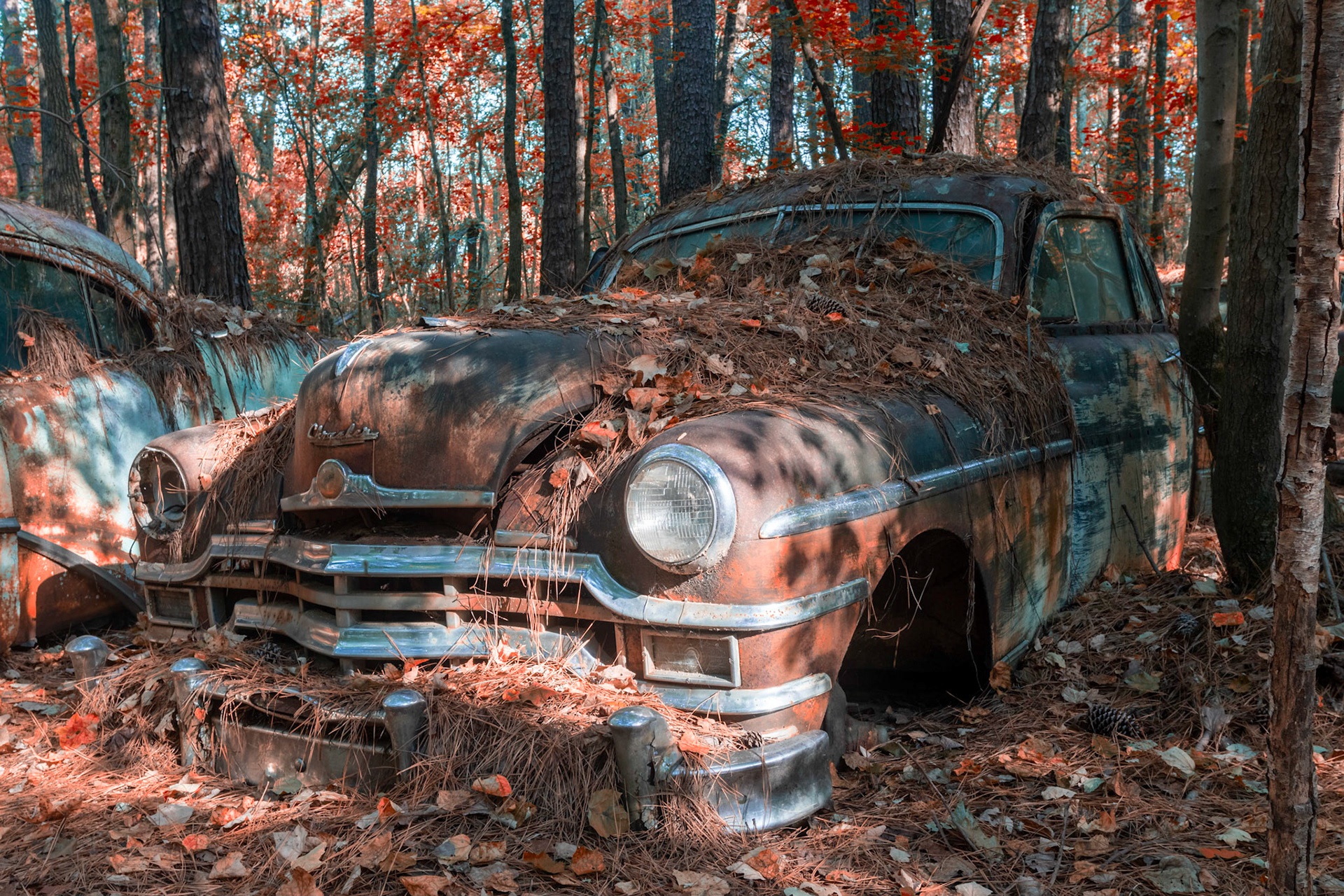 rung xe hoi cu anh 2