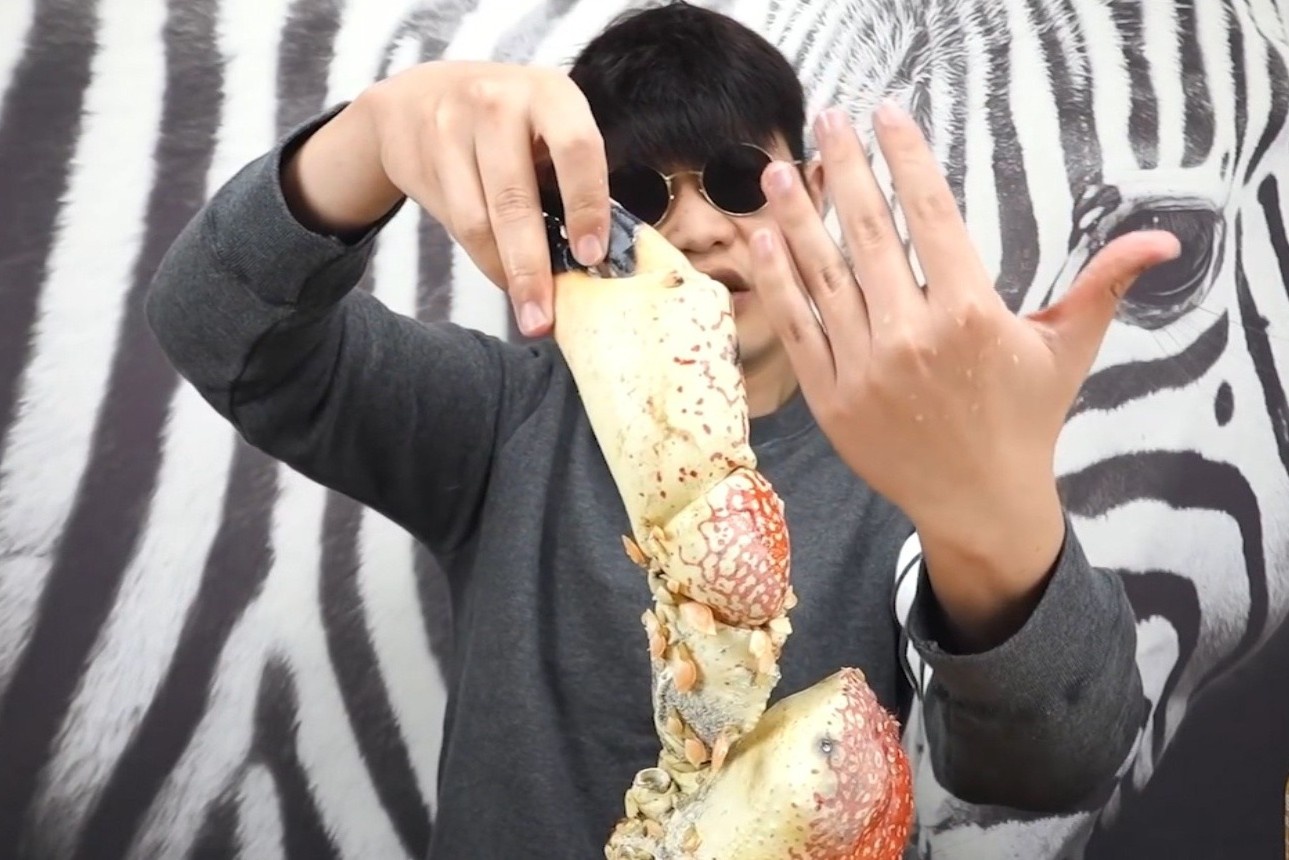 Chi 600 USD thuong thuc cua Tasmania cang to bang ban tay hinh anh