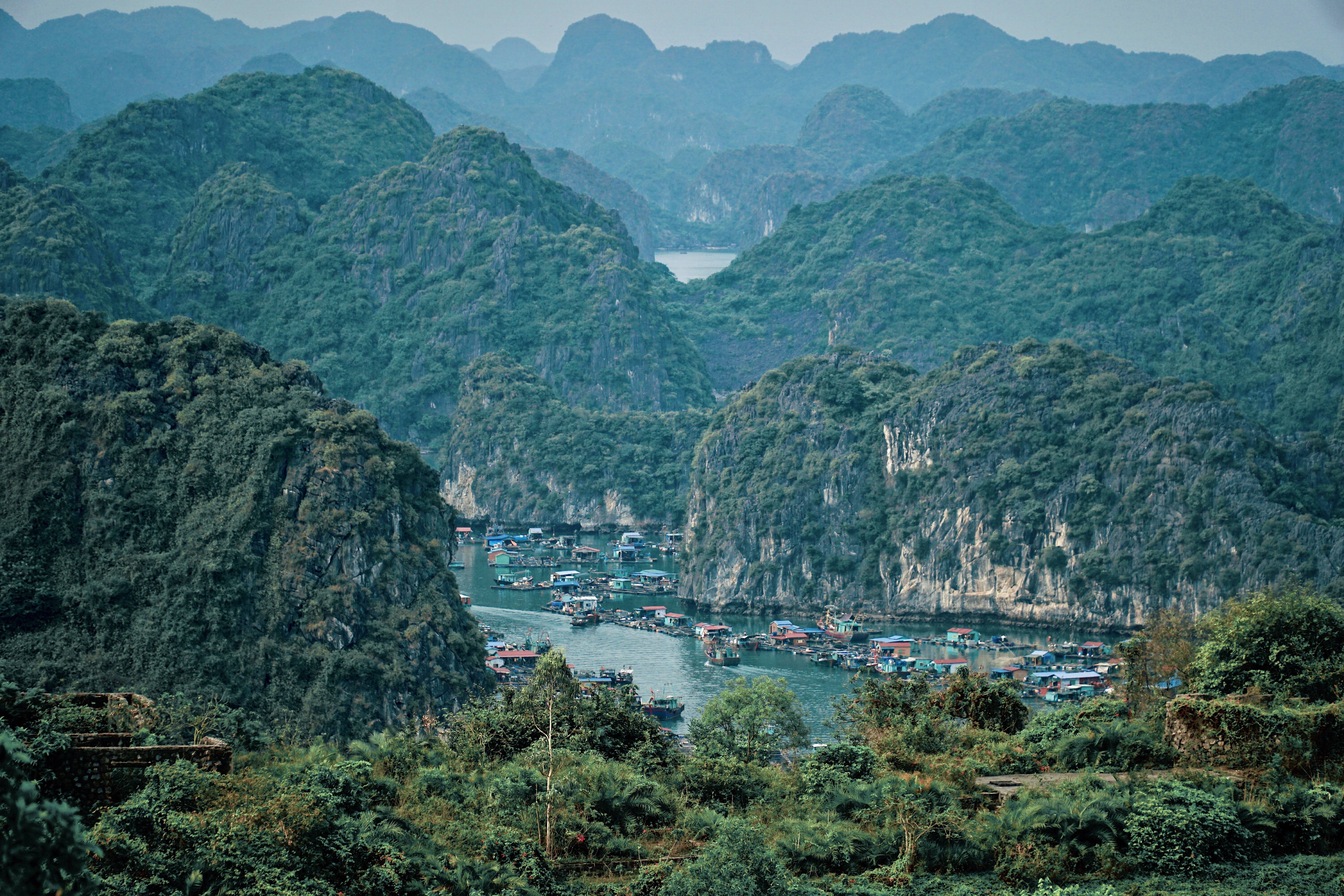 Co gi o vinh Lan Ha, noi duoc Leonardo DiCaprio keu goi giu gin? hinh anh