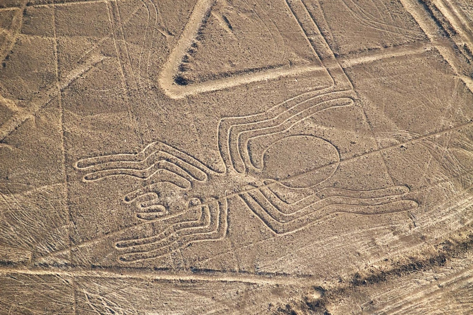 Loat hinh ve nghin nam tuoi tren sa mac o Peru hinh anh