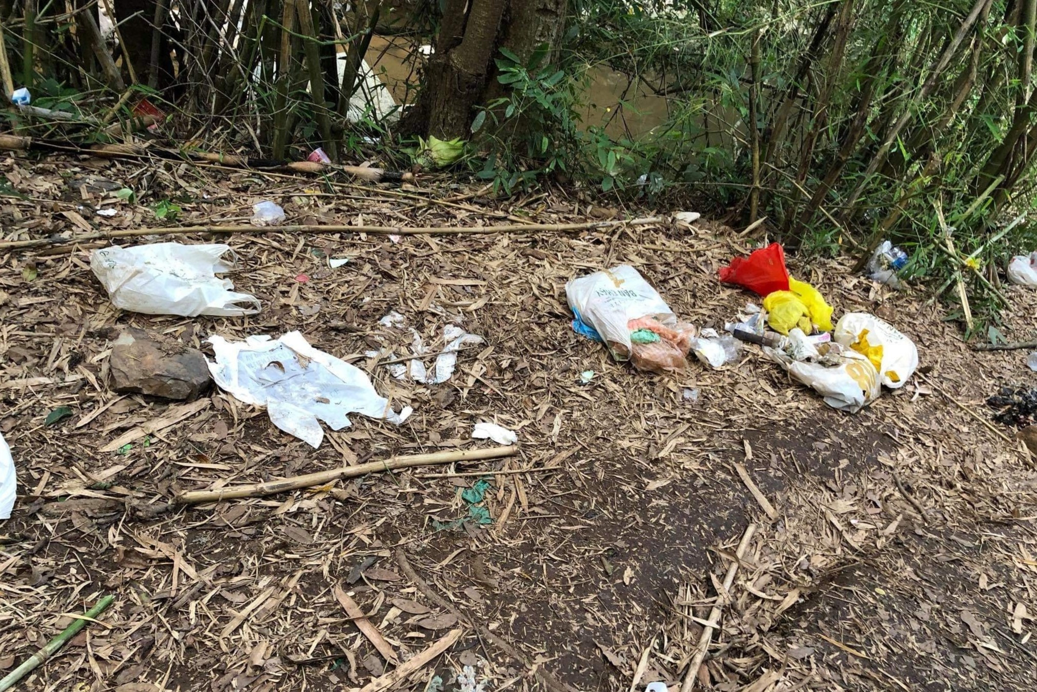 Dan mang phan anh tinh trang ngap rac thai o Ta Nang - Phan Dung hinh anh