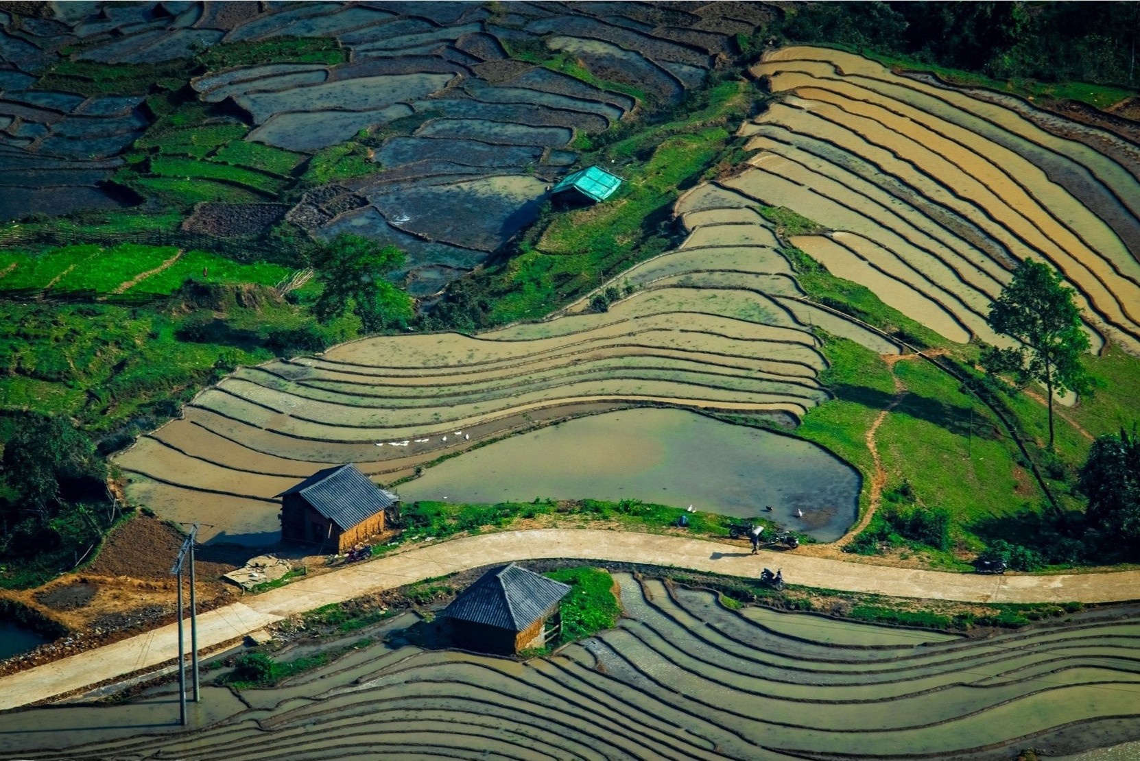 Nhung o mau lap lanh an hien o Y Ty mua nuoc do hinh anh