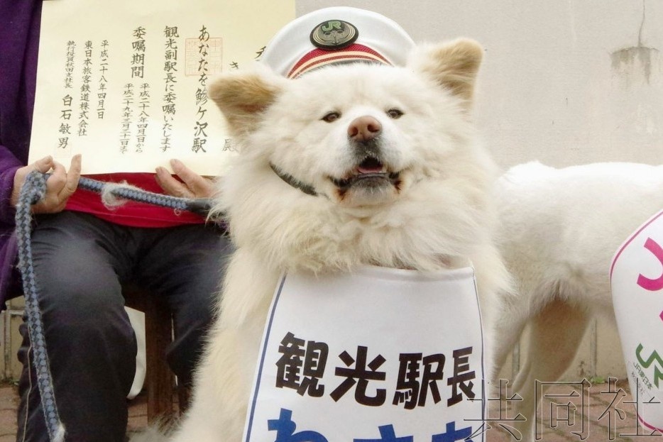 Cuoc doi chu cho dai su du lich Nhat Ban vua ra di o tuoi 13 hinh anh