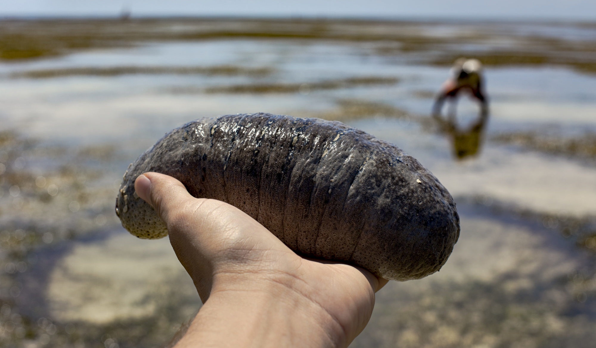 dac san bien co hinh dang ky di anh 7