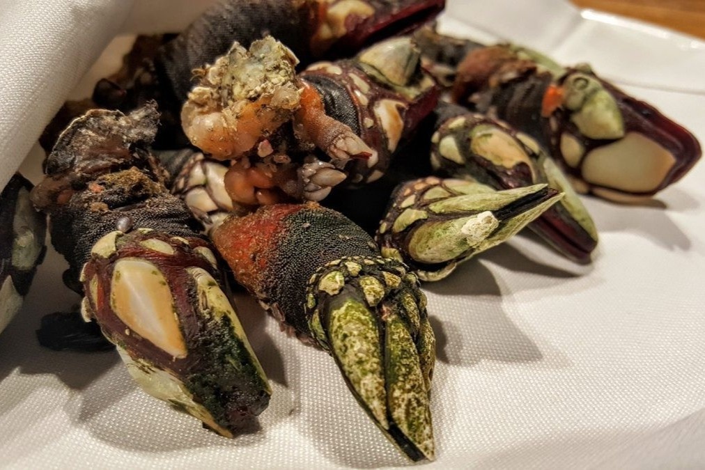 Ngon tay quy va loat dac san bien hinh dang ky di hinh anh