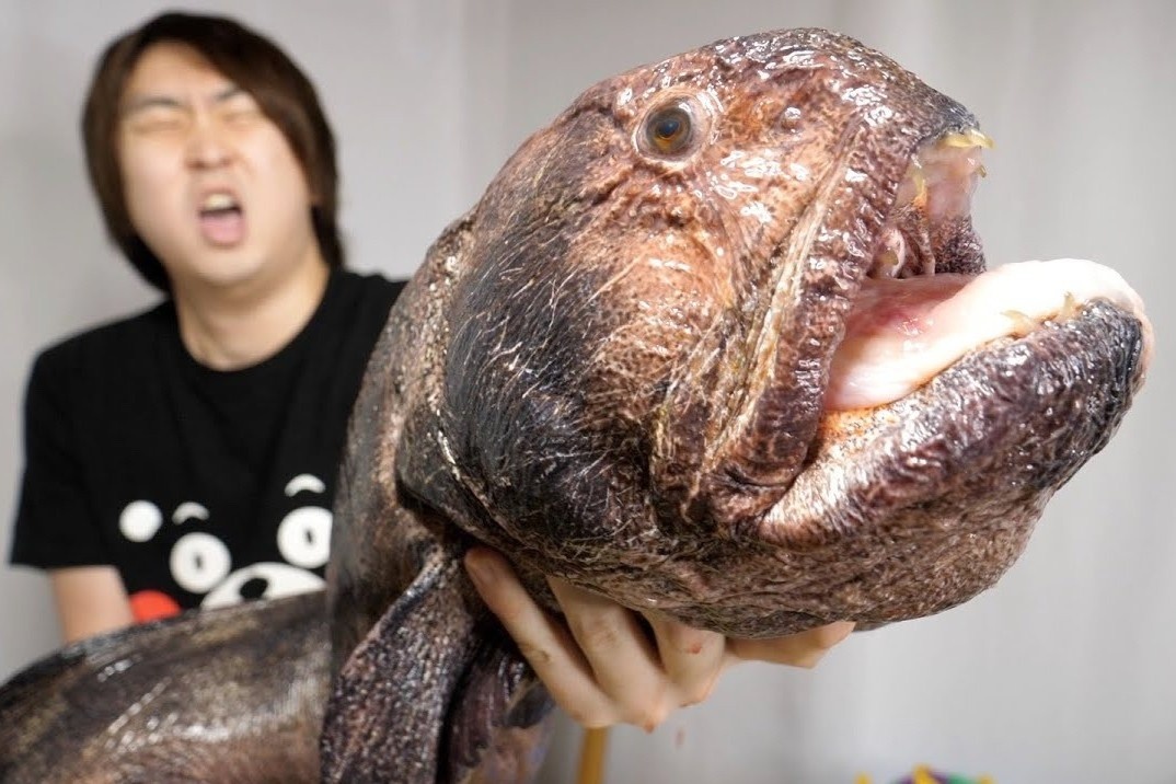 Dau bep Nhat xe thit ca soi 5 kg lam mon chien gion hinh anh