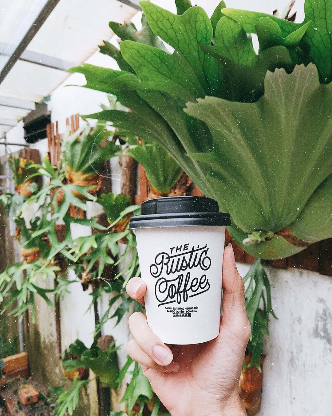 Quán cà phê đẹp ở Quảng Bình ảnh 8 Quan ca phe dep o Quang Binh anh 8