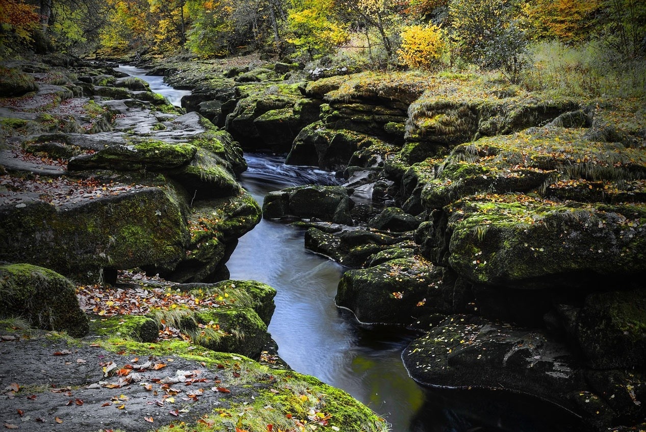 Dong suoi rong 1,8 m nguy hiem nhat the gioi hinh anh