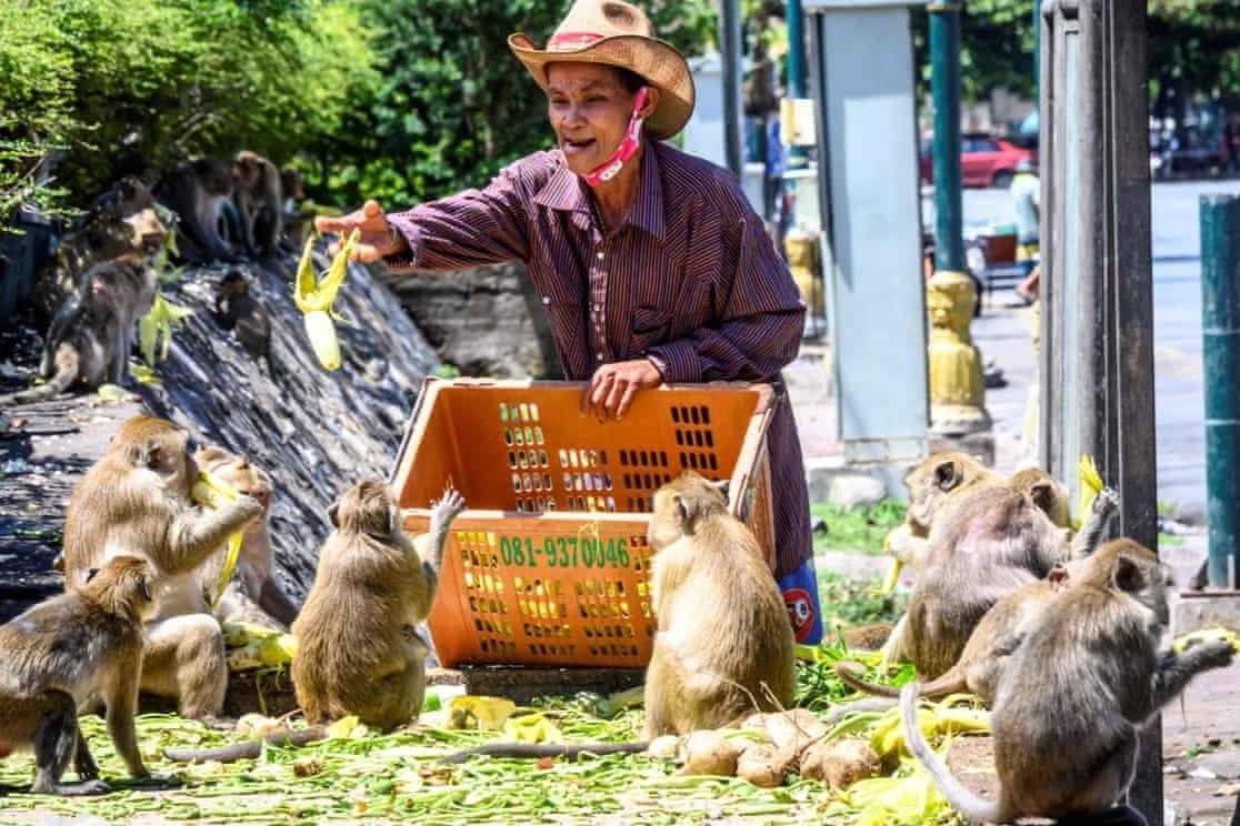 Con nguoi co gang lay lai thanh pho tu tay loai khi hinh anh