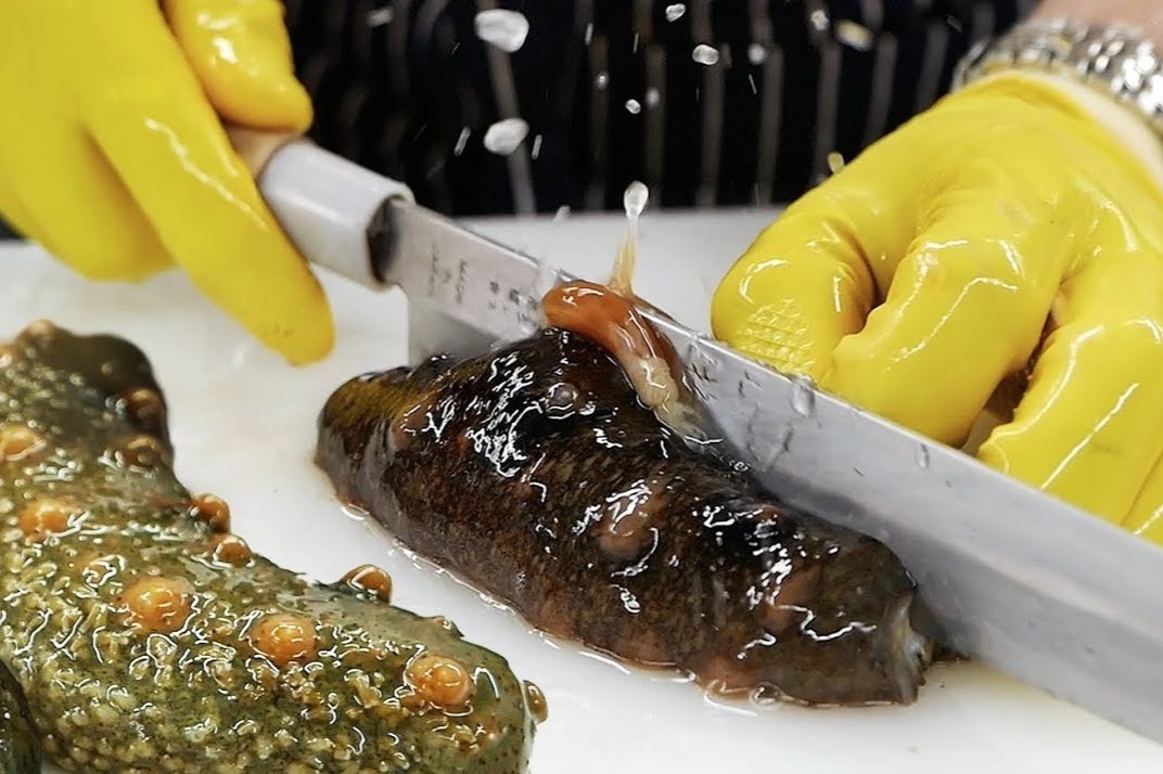 Thuong thuc dia bien tuoi song o vung bien Nhat hinh anh