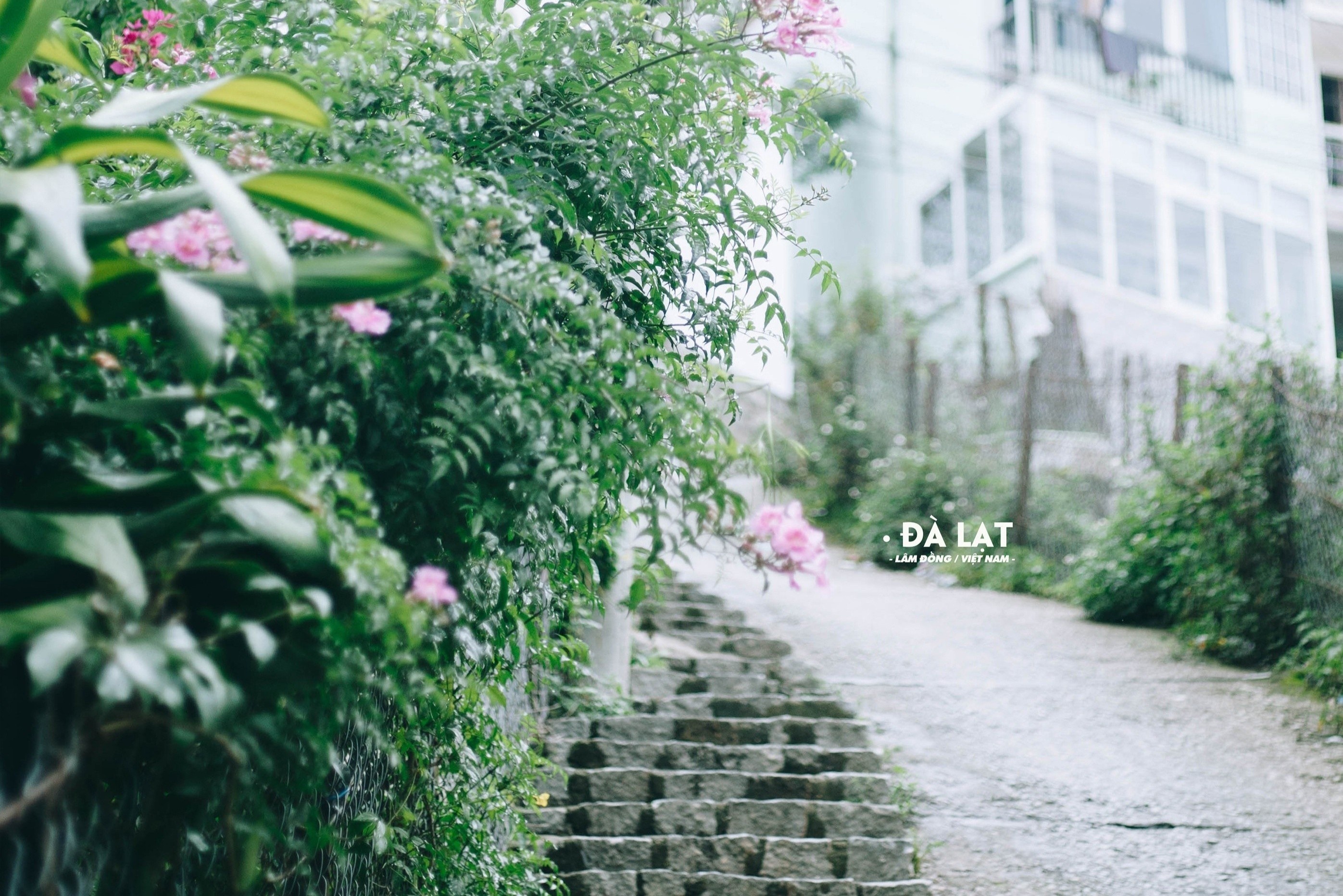 Mot Da Lat trong treo, binh yen trong anh check-in cua 9X hinh anh