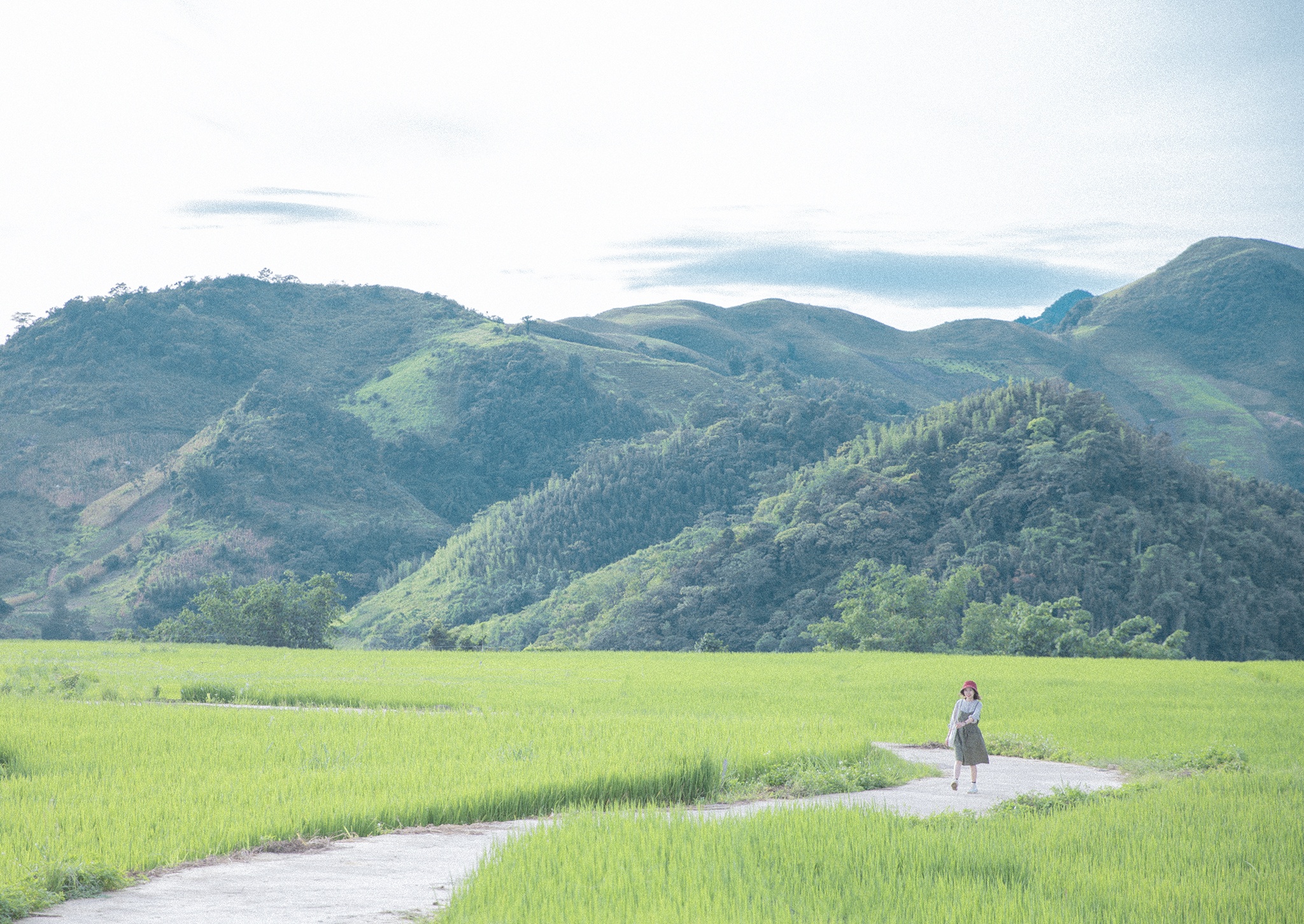 Di qua mua ha tai reo cao Moc Chau hinh anh