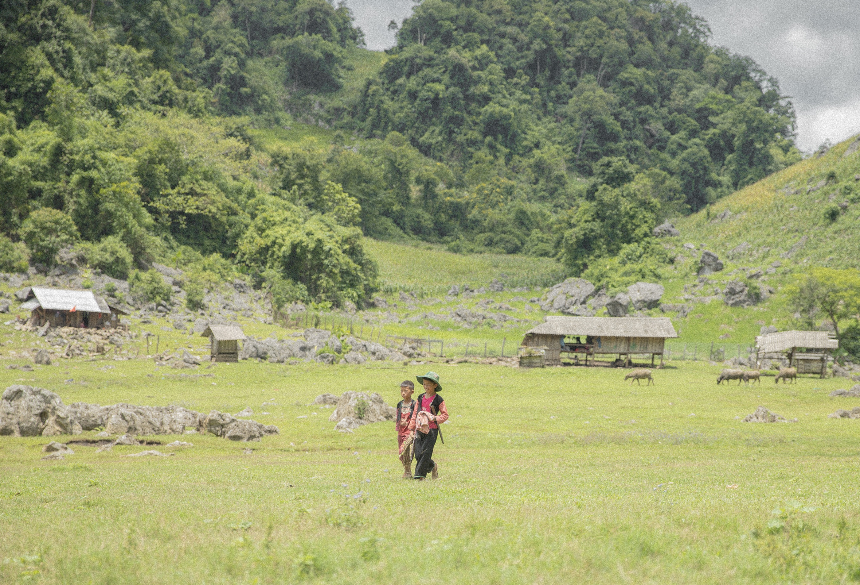 Moc Chau mua che anh 16