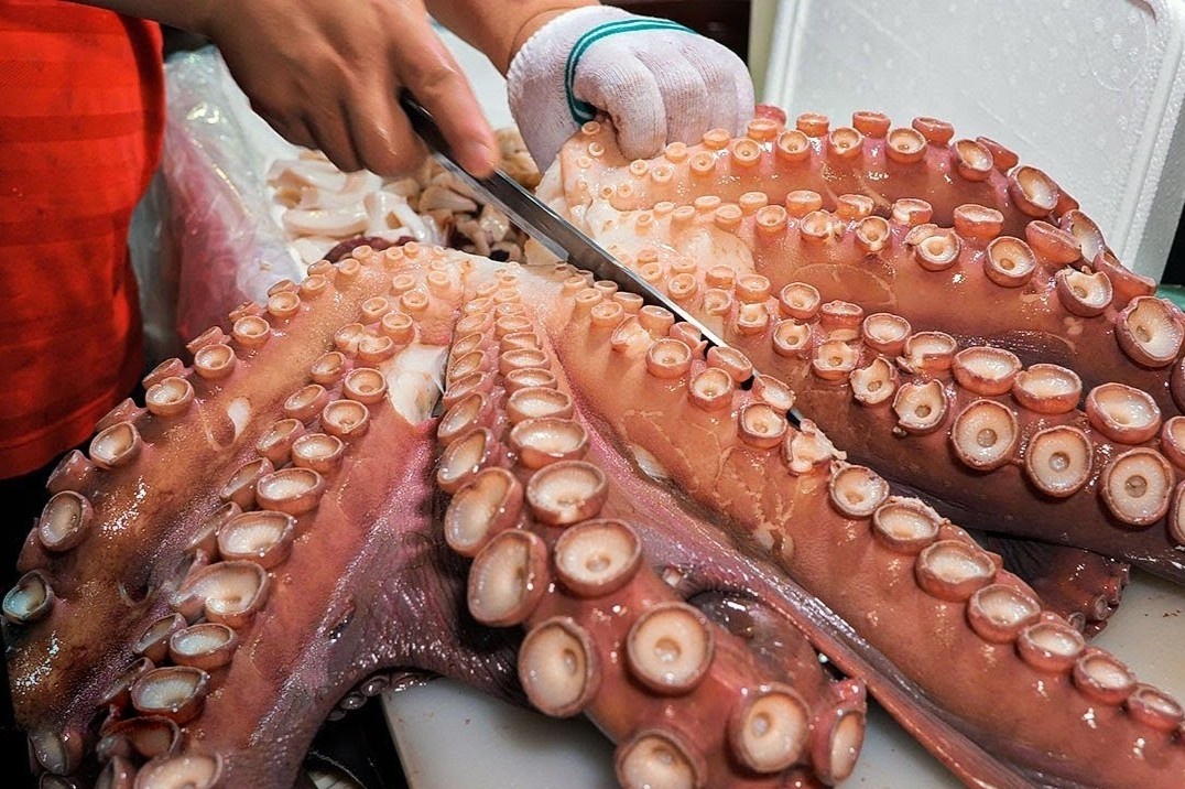 Dau bep Nhat xe thit bach tuoc co lon lam takoyaki hinh anh