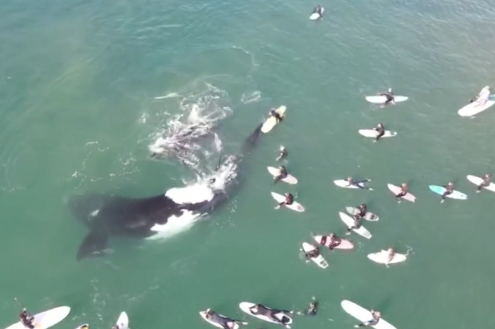 Me con ca voi choi dua cung du khach luot song hinh anh