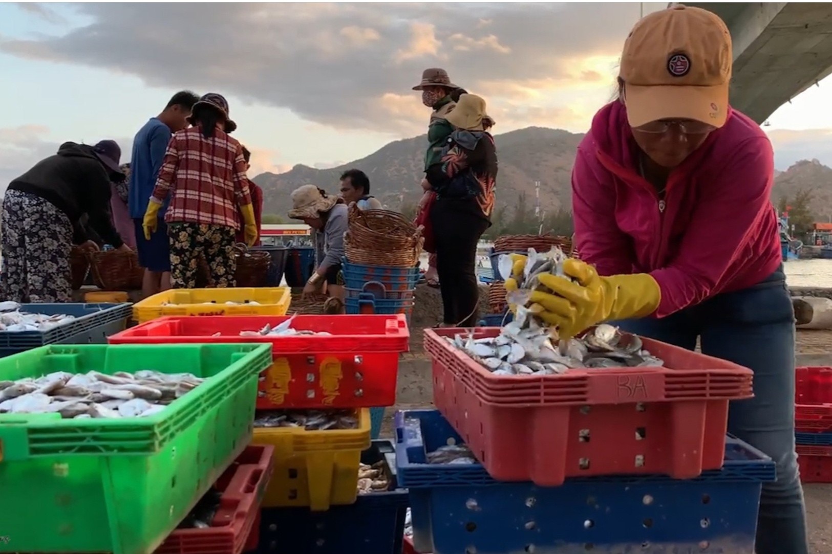 Khung canh nhon nhip o cang ca lon bac nhat Ninh Thuan hinh anh