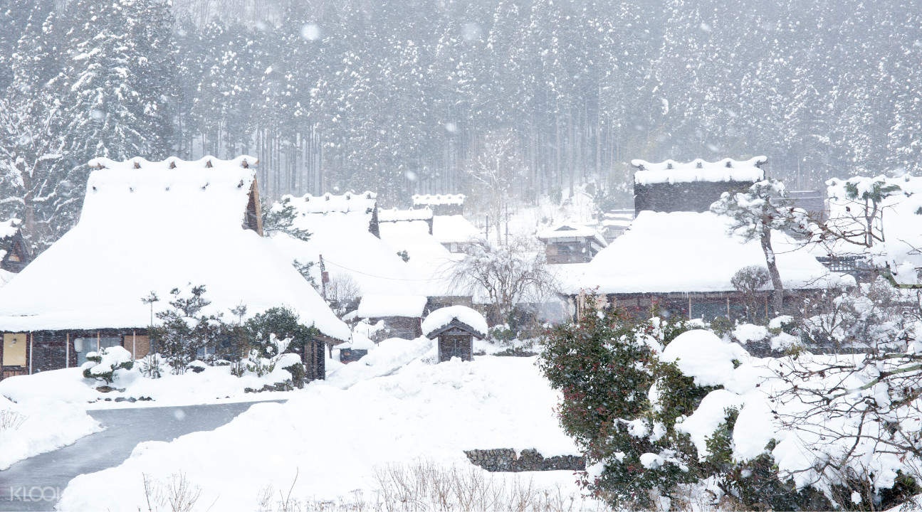 làng Miyama Kayabuki  ảnh 3 lang Miyama Kayabuki anh 3