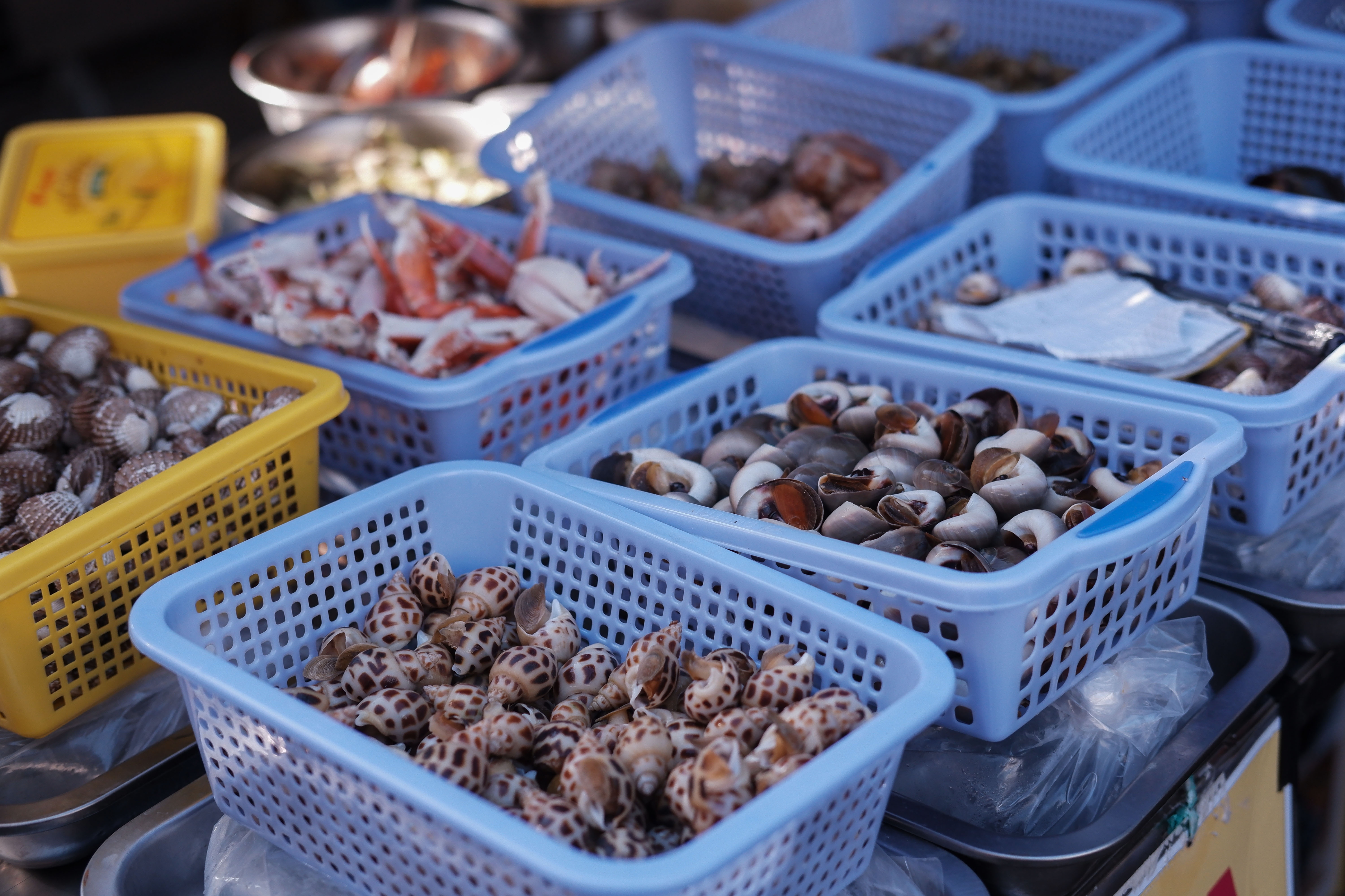 pho am thuc Ho Thi Ky anh 2