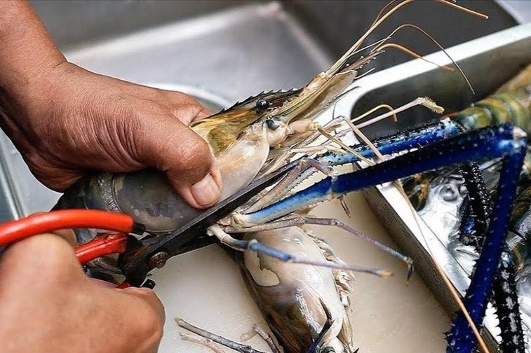 Lam tom cang xanh co lon nuong muoi ot hinh anh