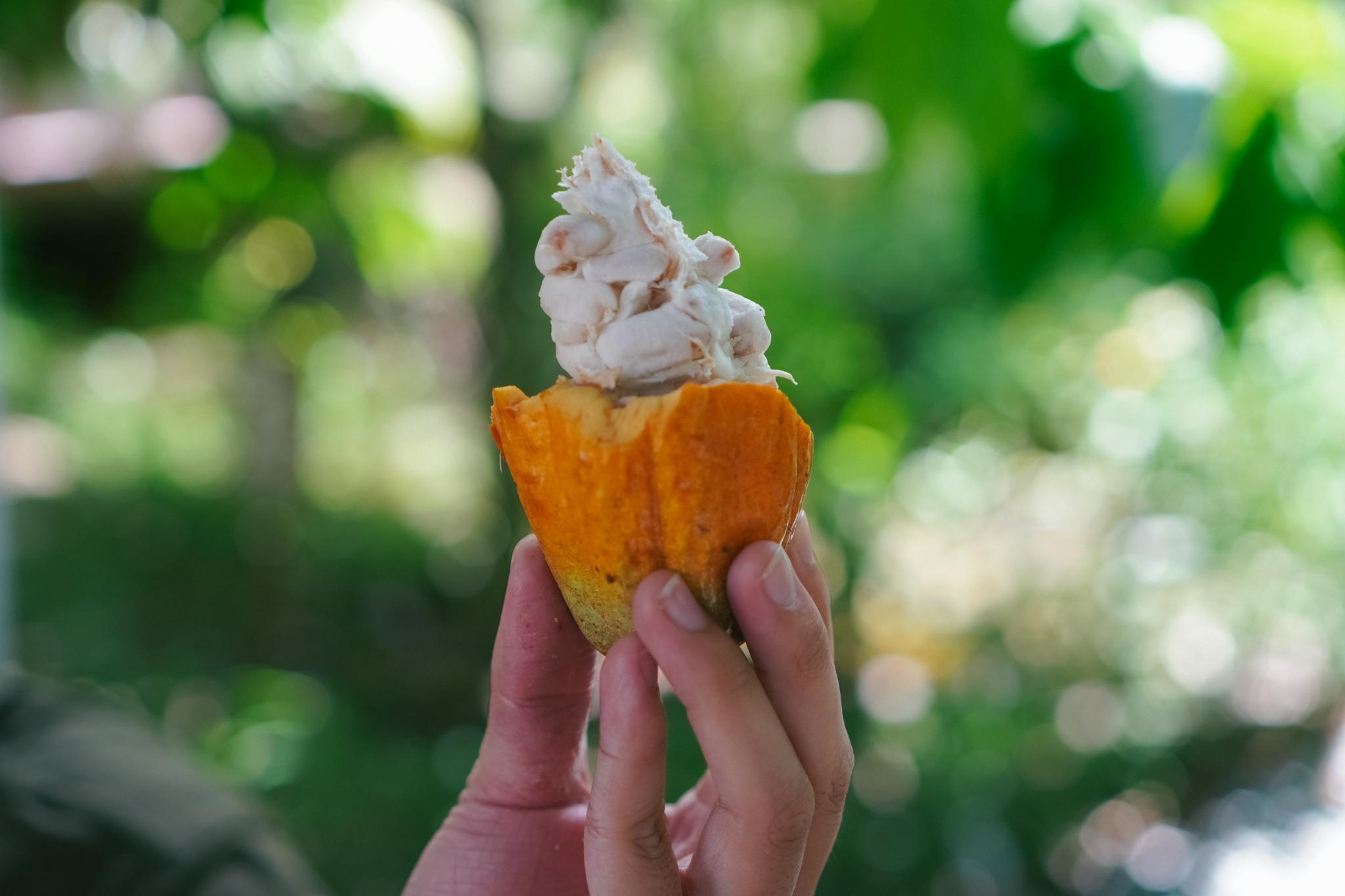 cach lam chocolate anh 2