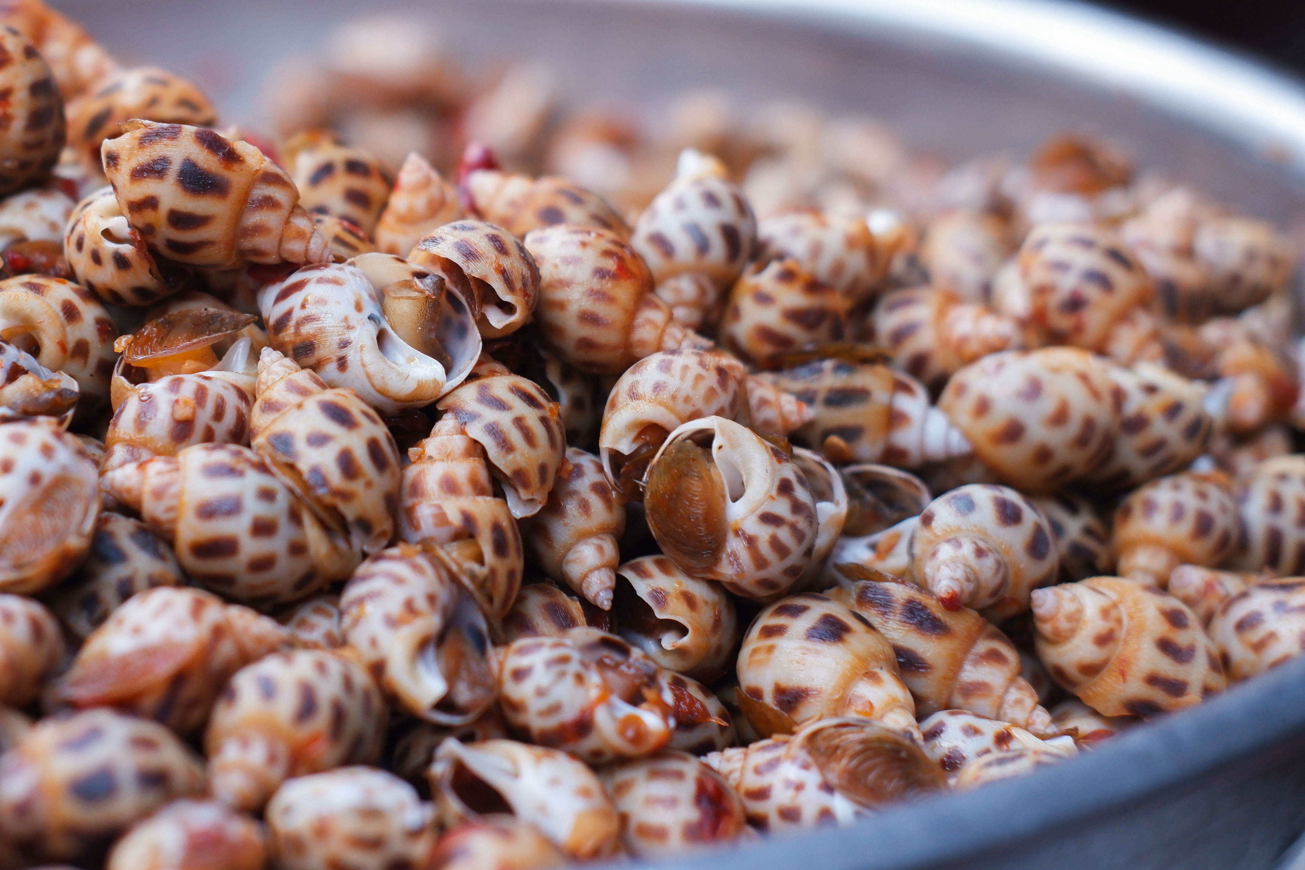 địa chỉ ăn ốc ở TP.HCM ảnh 5 dia chi an oc o TP.HCM anh 5