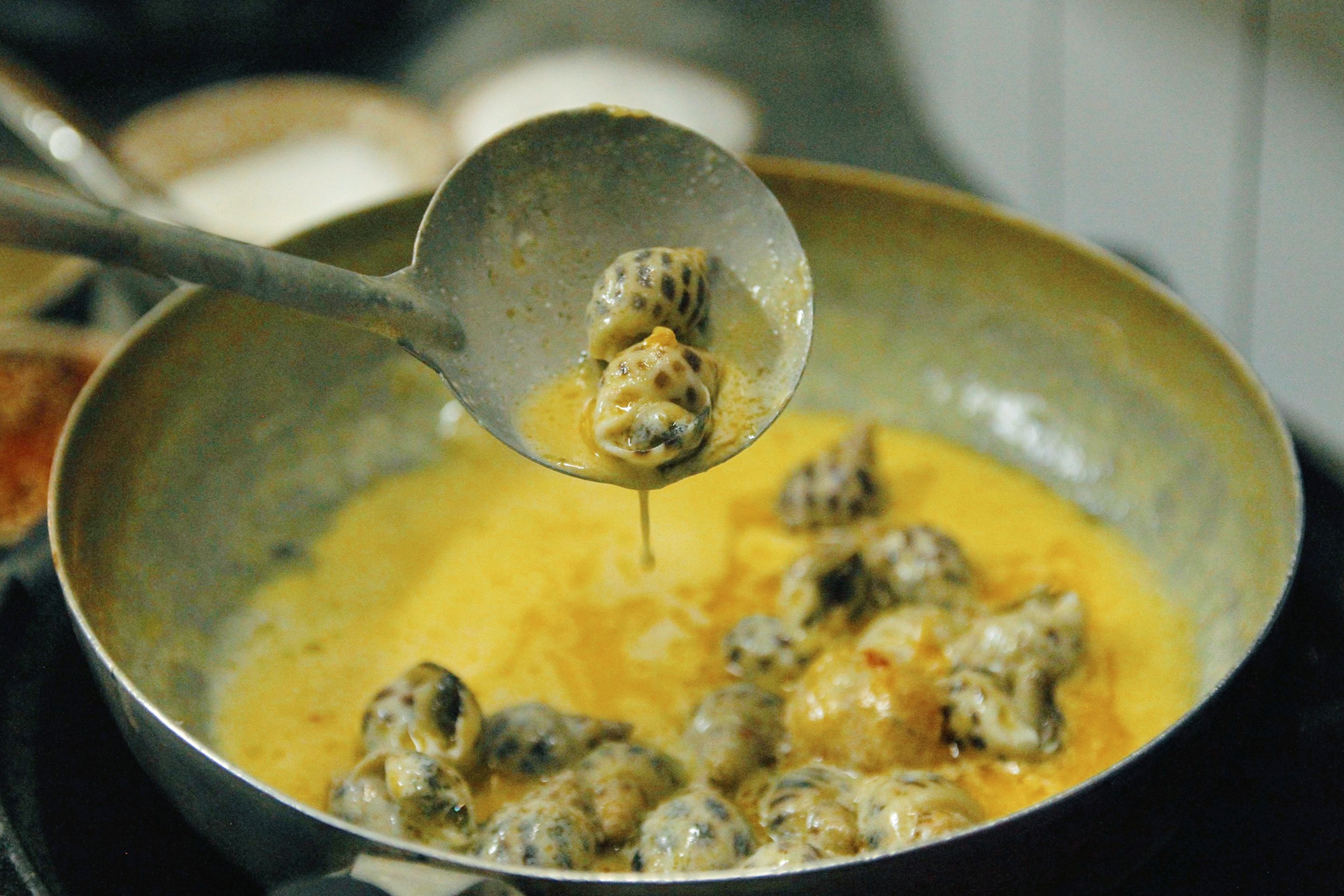 địa chỉ ăn ốc ở TP.HCM ảnh 8 dia chi an oc o TP.HCM anh 8