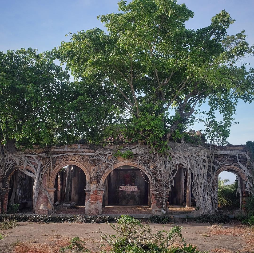 Dinh tram tuoi nam duoi bo re cay bo de anh 1