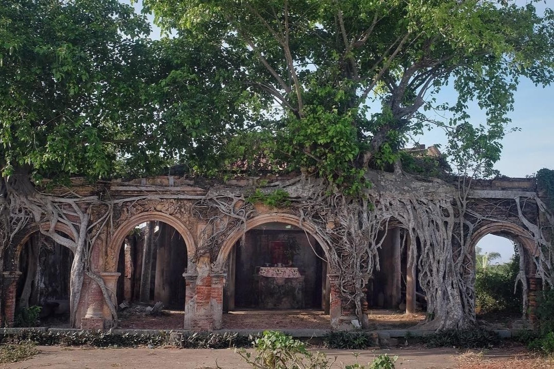 Ngoi dinh hon 100 tuoi nam duoi bo re cay bo de hinh anh