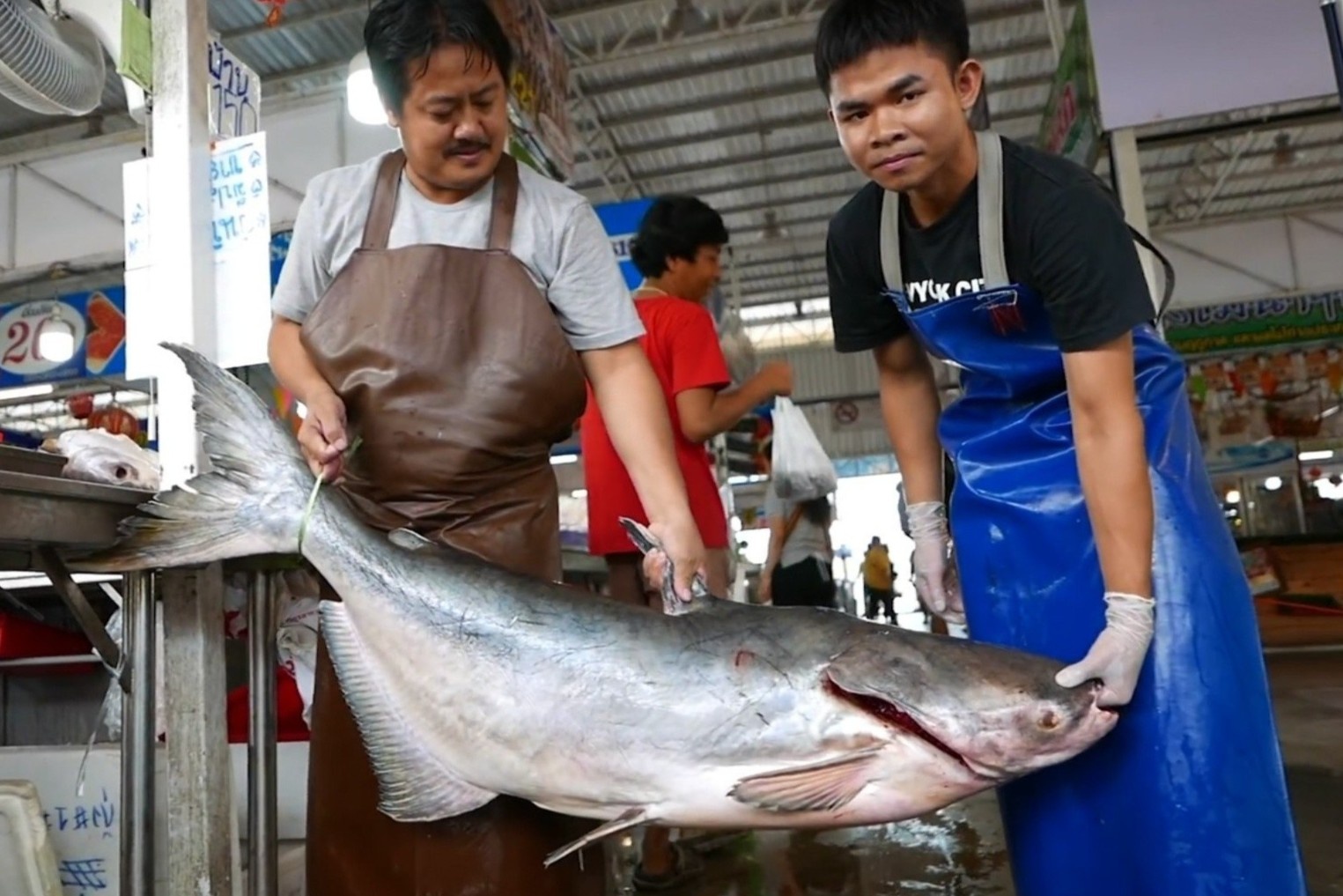 Dau bep che bien ca tra song co lon hinh anh