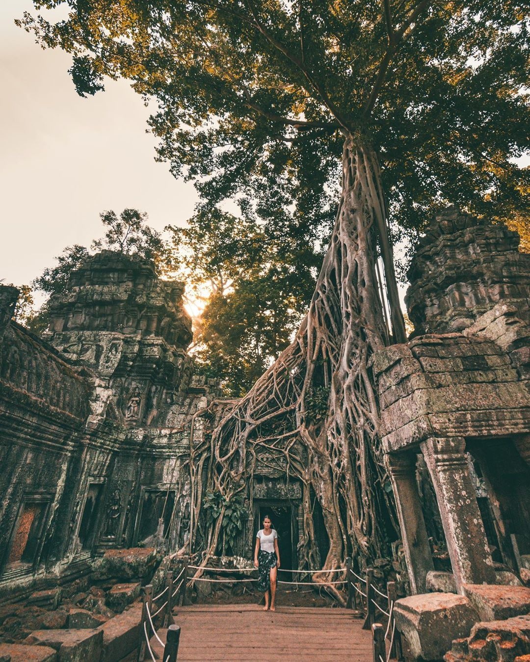 ngôi đền nằm dưới bộ rễ cây ảnh 3 ngoi den nam duoi bo re cay anh 3