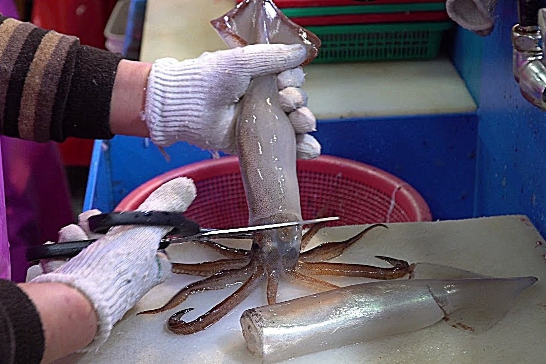 Muc song cat soi tren duong pho Han Quoc hinh anh