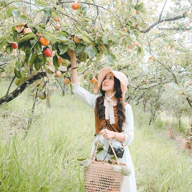 Đà Lạt ảnh 3 Da Lat anh 3